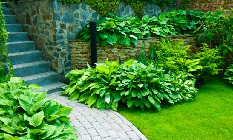 Importance of Landscaping