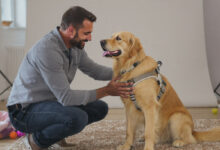 Tips for Making Your Dog Comfortable on Shoot Day