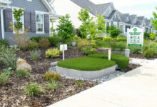 Sustainable Septic Solutions for Modern Homes